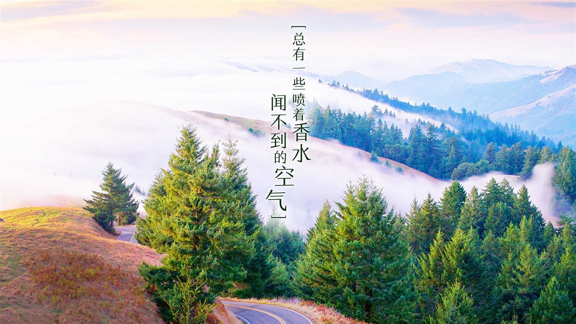 当场MVP：王强凭借关键球荣获“当日之星”！，王强在干什么