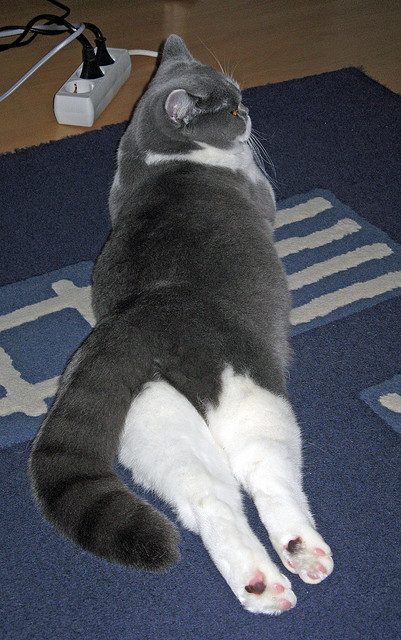 印度队未来发展：注重心理素质培养，提升比赛稳定性，印度队队服