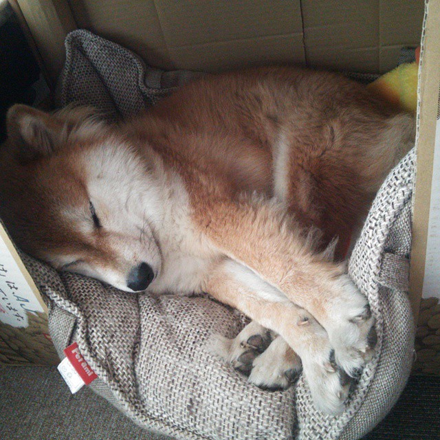 锋线球员是否参与中场组织成为常态机制，什么叫锋线球员