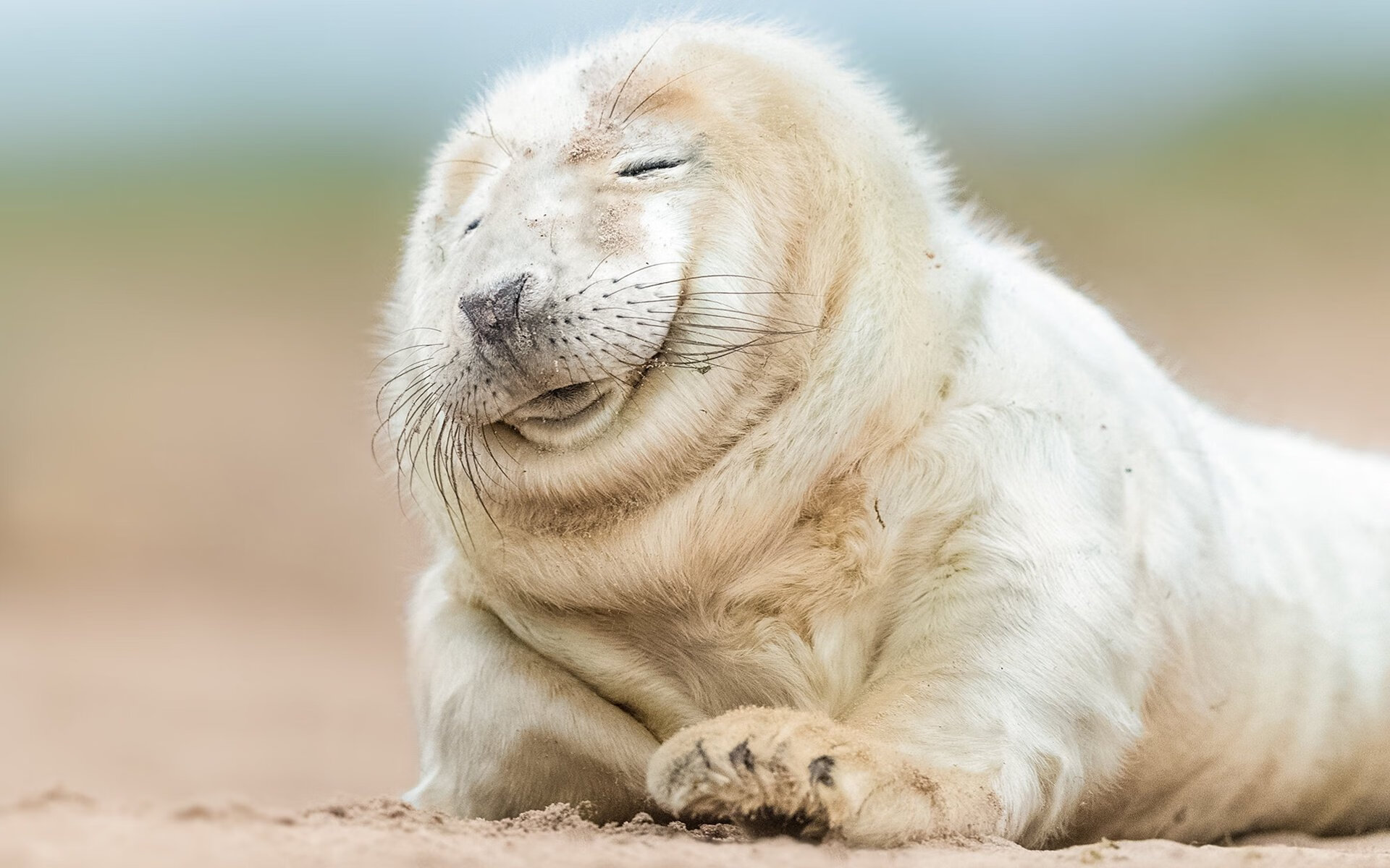 中学篮球建设视频数据库方便教师二次教学，中学篮球教学现状的调查报告