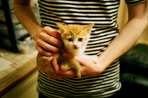 莱昂·马尔尚技术细腻统治200米混合泳赛场